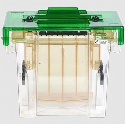 Bio-Rad Protean ll XL