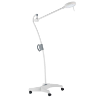 MS Westfalia Blanc Q/Q+/Q0