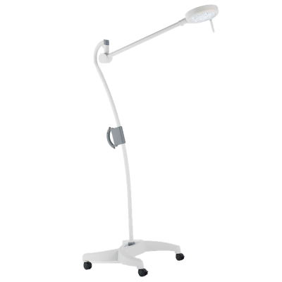 MS Westfalia Blanc Q/Q+/Q0