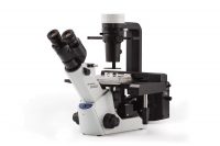 Olympus CKX53