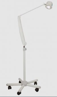 MS Westfalia Blanc Q1