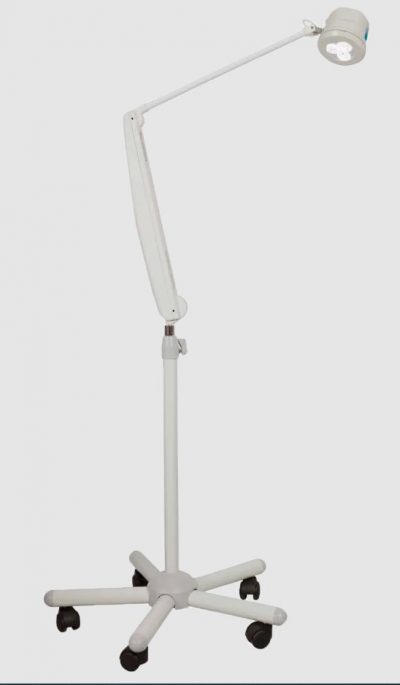 MS Westfalia Blanc Q1